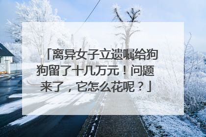 离异女子立遗嘱给狗狗留了十几万元！问题来了，它怎么花呢？